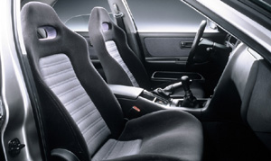 R33 Nissan Skyline GTR Picture